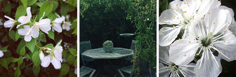formoflora_tre