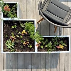Variation av Plant Boxar. Kombinera olika blomlådor. Skapa rum på uteplatsen. Nytänkande och ideskapande.