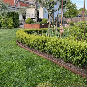 Snygg rabattkant i corten som ramar in rabatten och avgränsar gräs.