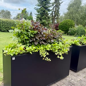 Planteringskärl som tål nordiskt klimat. Rumsavdelare på uteplatsen. Svart Plant Box.