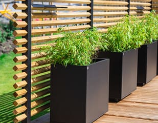 Drömminge staketstolpe med vriden 2-tums regel (45x45 mm), med Plant Boxar med planterad bambu i kruka. En svenskproducerad, underhållsfri lösning för avskärmning och vindskydd – vintergrönt och stilrent.