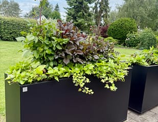 Planteringskärl som tål nordiskt klimat. Rumsavdelare på uteplatsen. Svart Plant Box.