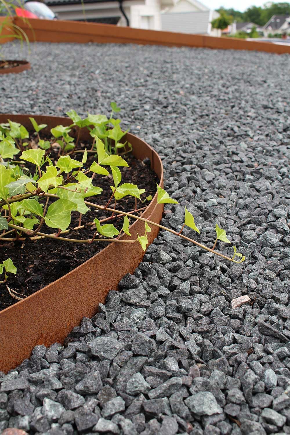 Rundt højbed, høj 10 cm - Billede 7
