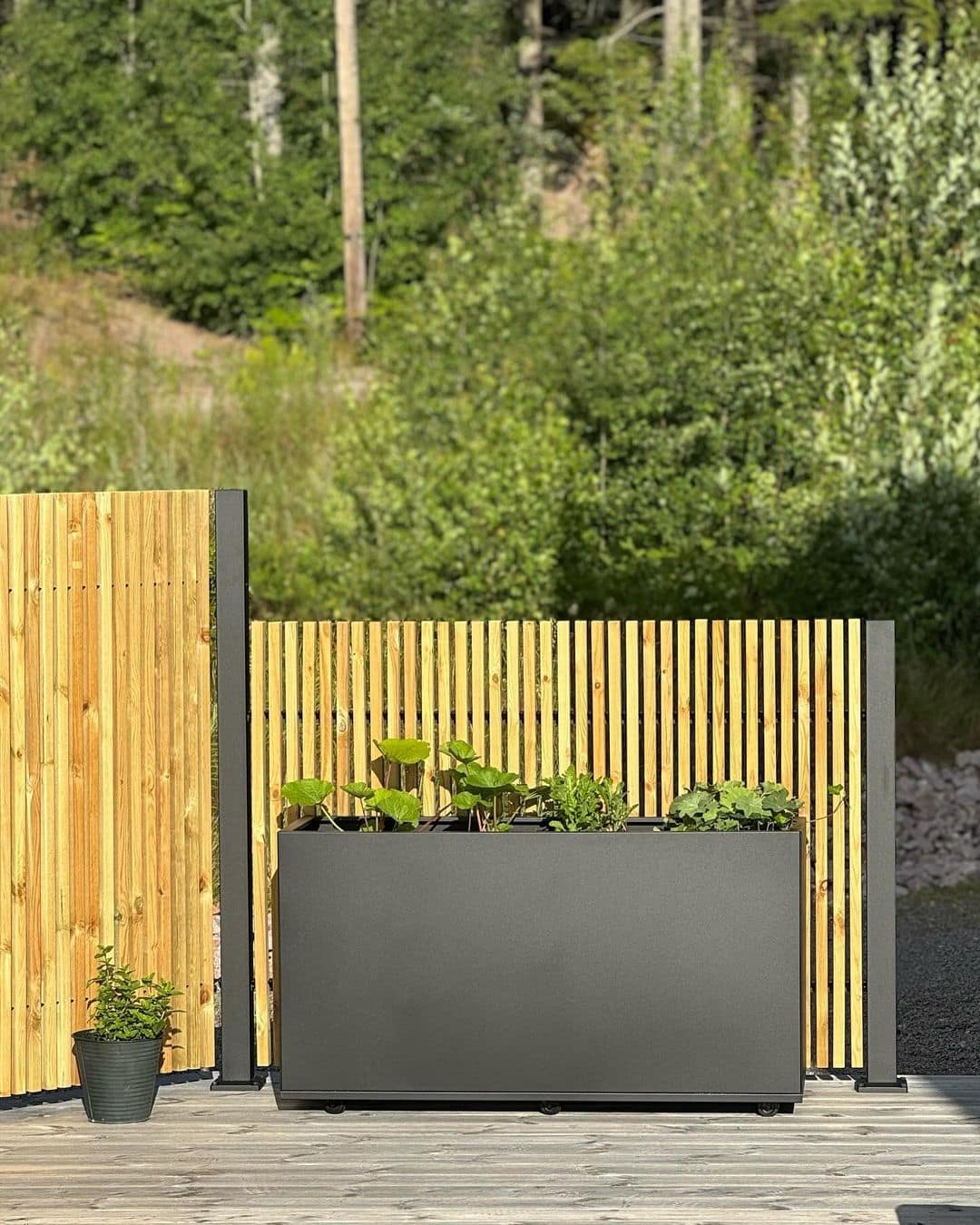 Ribbestakit Borgen - Billede 7