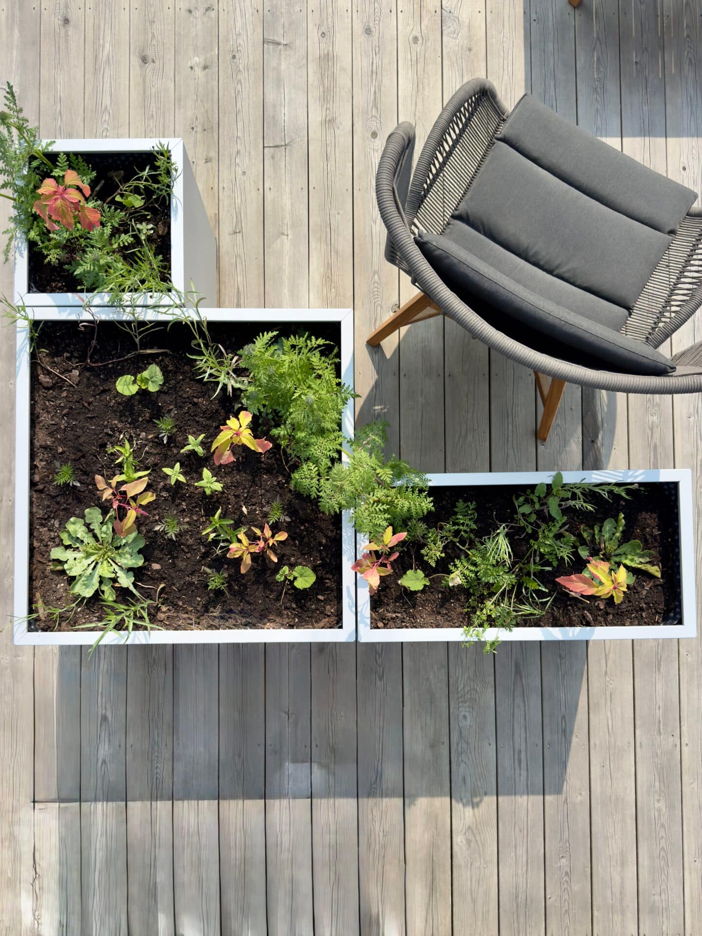 Variation av Plant Boxar. Kombinera olika blomlådor. Skapa rum på uteplatsen. Nytänkande och ideskapande.