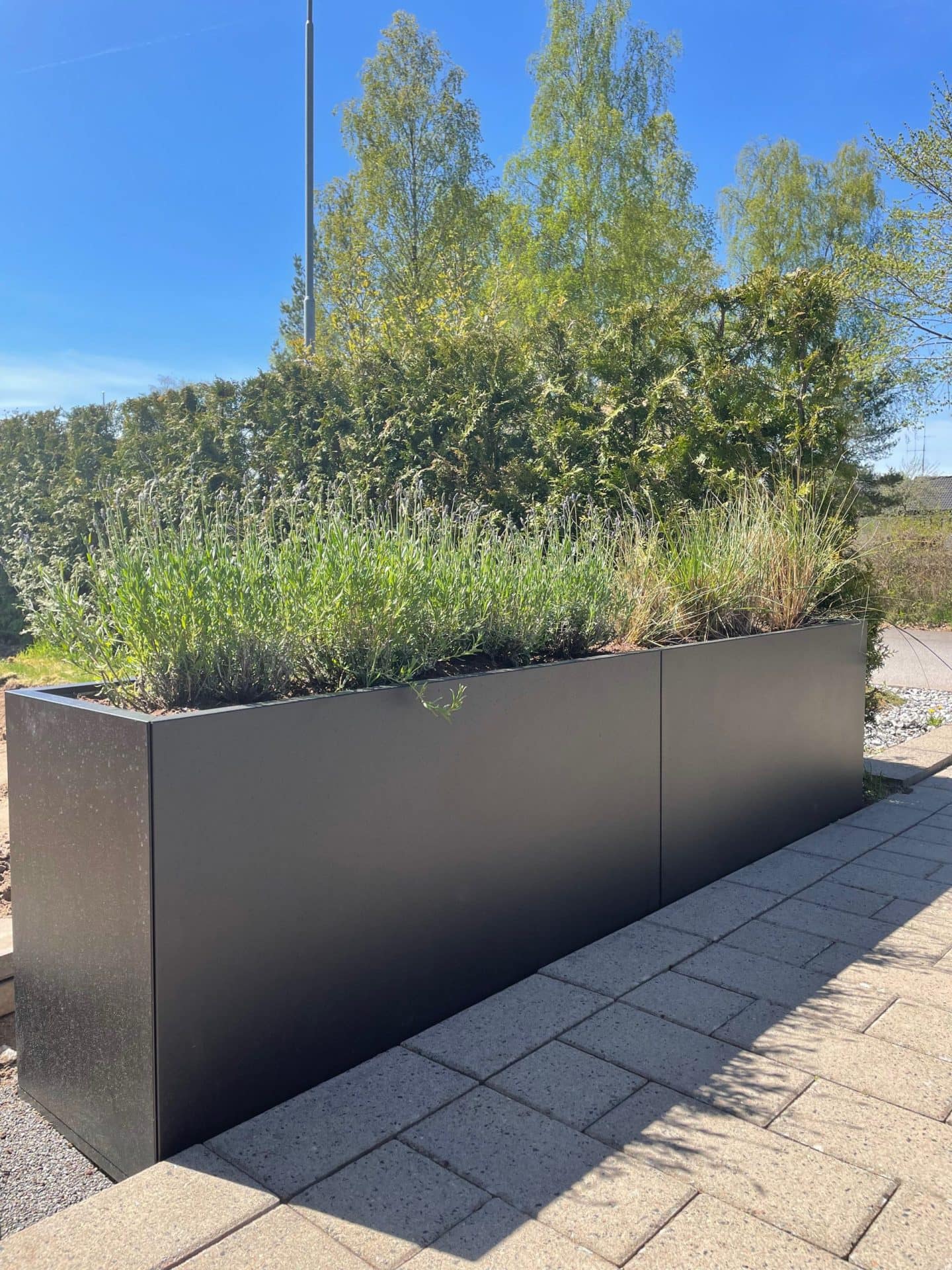 Plant Box Flex 240x40x60 cm - Bild 4