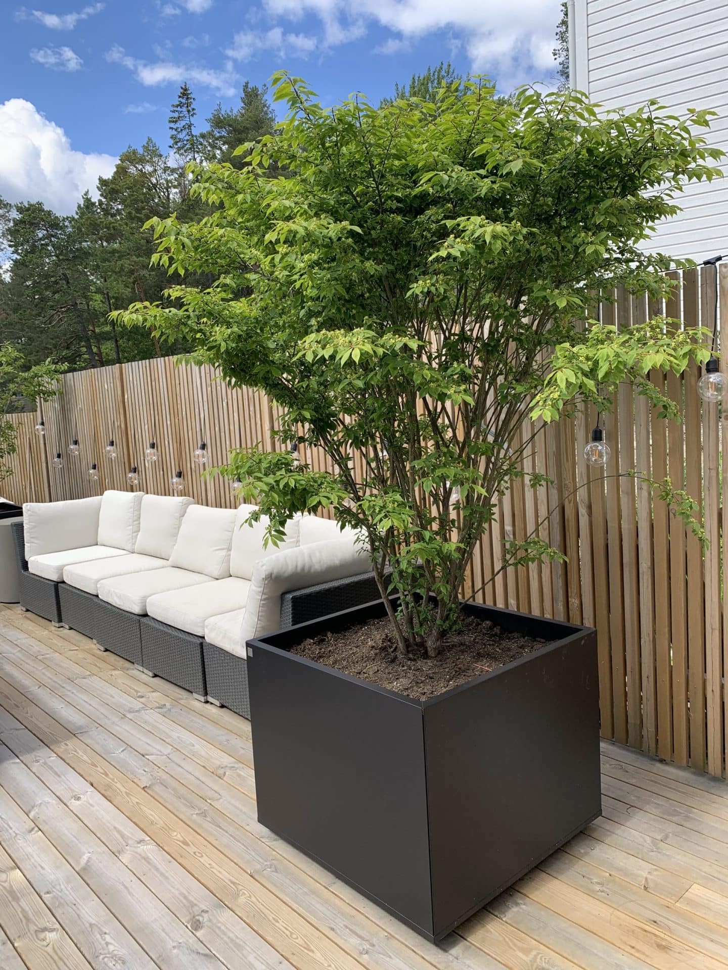 Plant Box Kub 80x80x60 cm - Bild 6