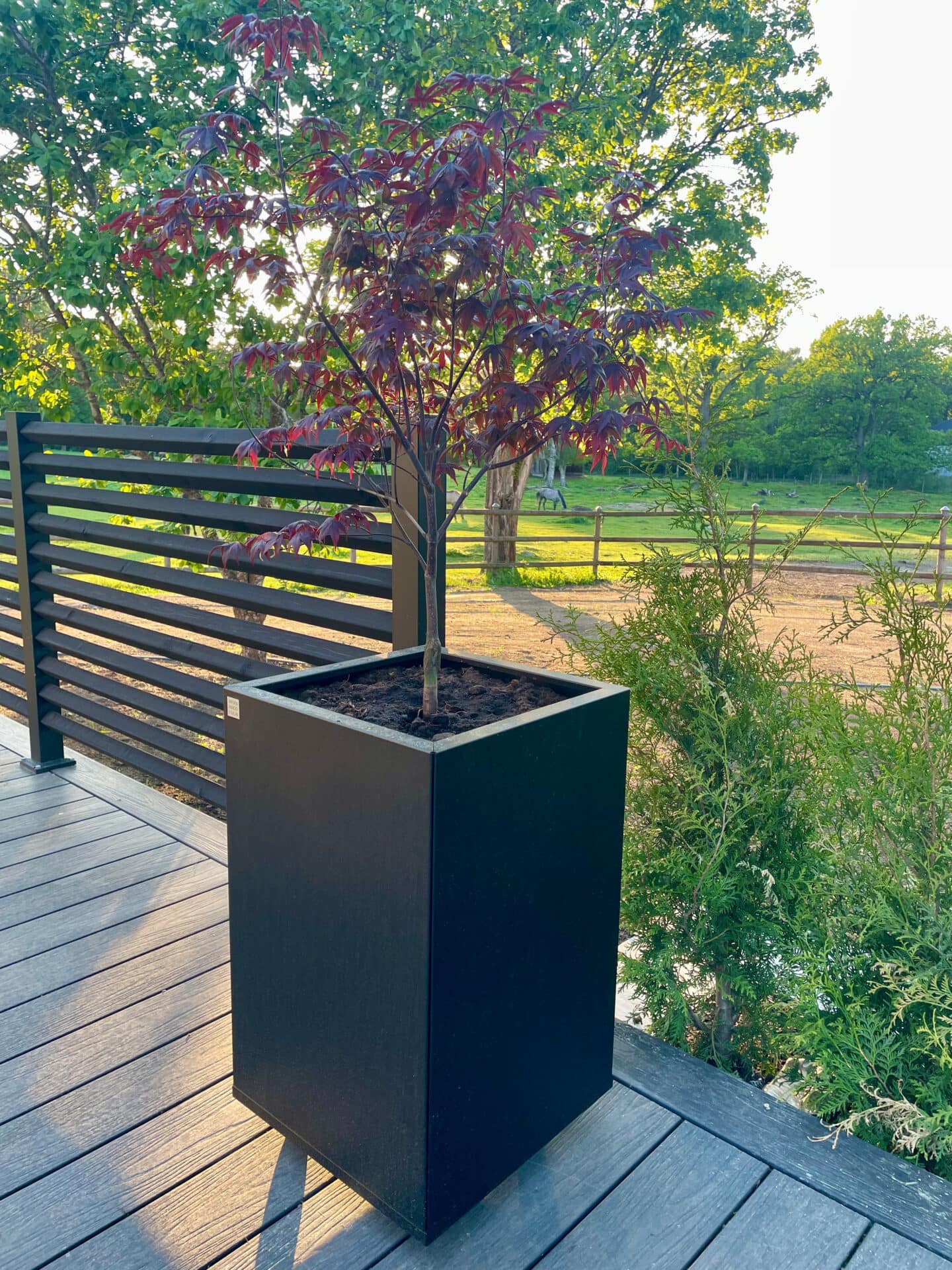 Plant Box Kub 40x40x60 cm - Bild 4