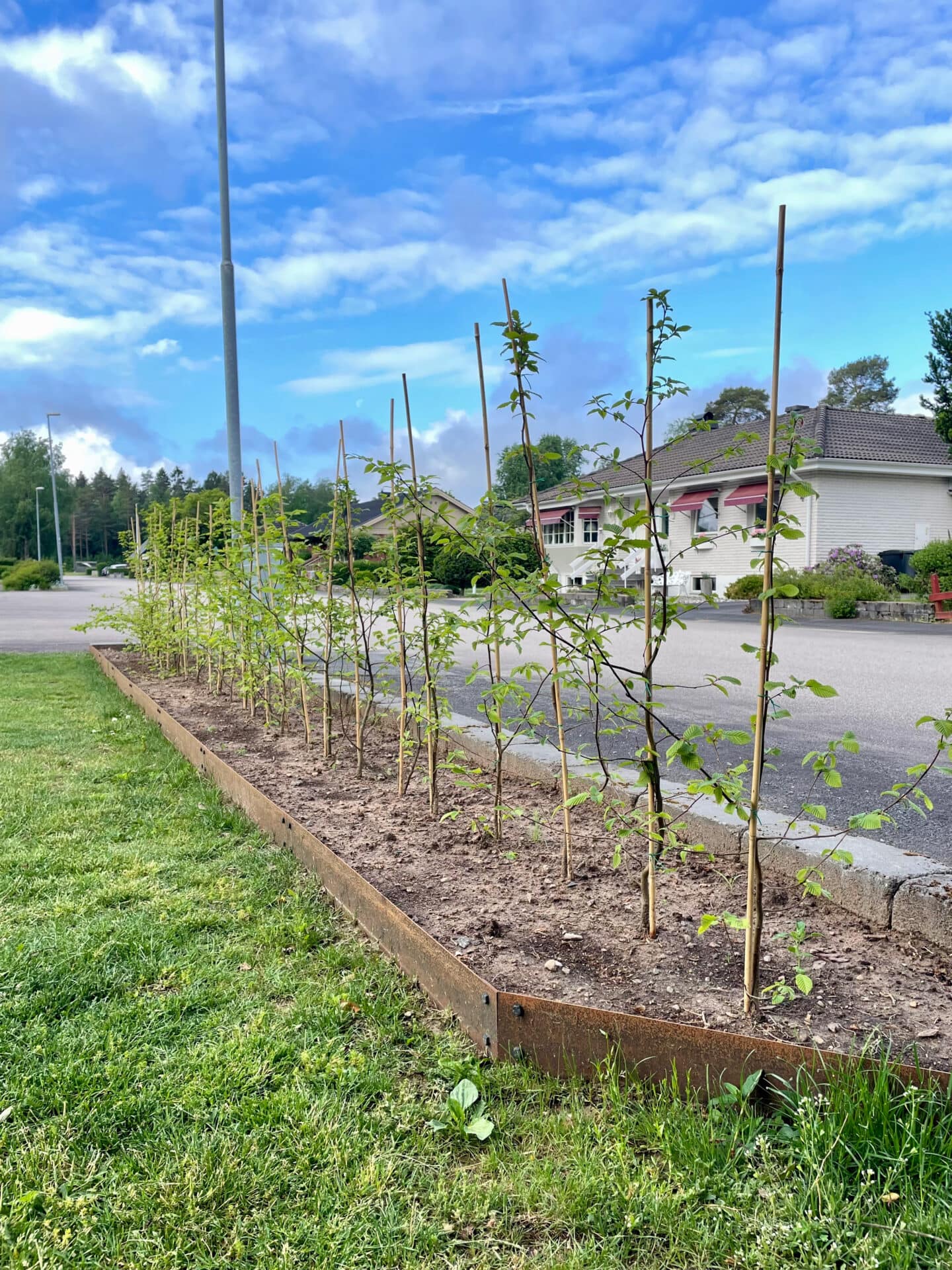 Rabattkant Corten 2mm - Bild 9