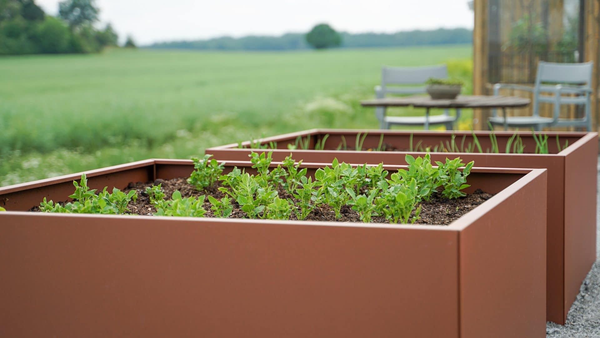 Plant Box Dyrkningskasse 120x120x60 cm - Billede 4