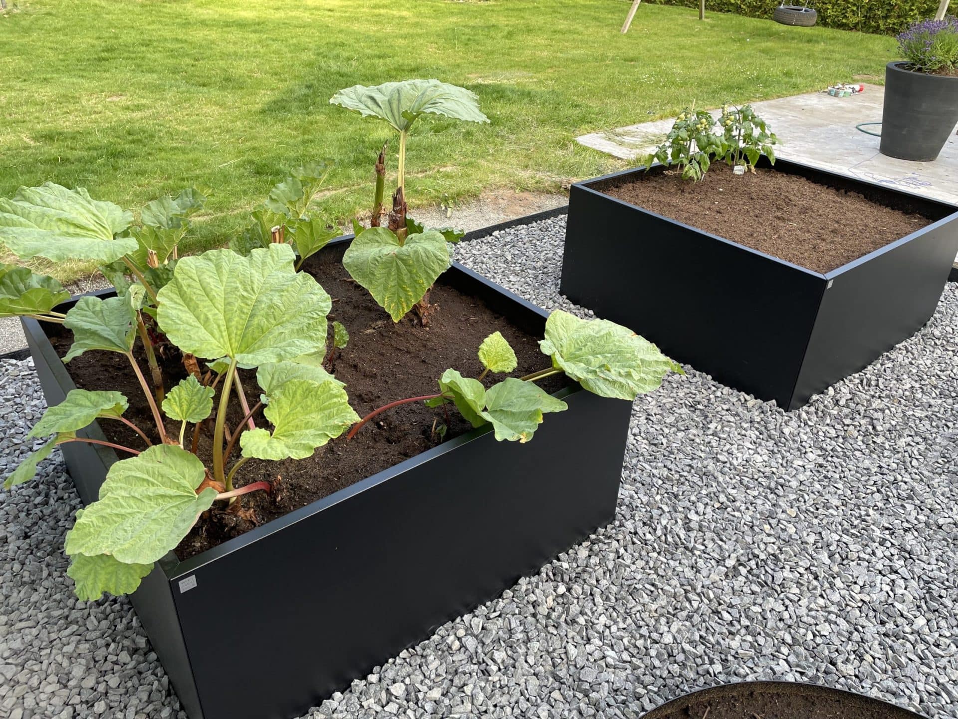 Plant Box Odlingslåda 120x120x60 cm - Bild 8