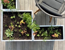 Variation av Plant Boxar. Kombinera olika blomlådor. Skapa rum på uteplatsen. Nytänkande och ideskapande.