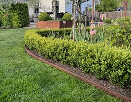 Snygg rabattkant i corten som ramar in rabatten och avgränsar gräs.