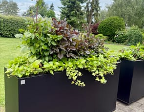 Planteringskärl som tål nordiskt klimat. Rumsavdelare på uteplatsen. Svart Plant Box.