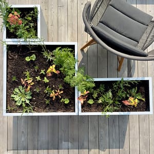 Variation av Plant Boxar. Kombinera olika blomlådor. Skapa rum på uteplatsen. Nytänkande och ideskapande.