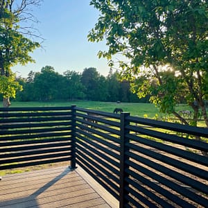 Helsort hegn Drømmer med heste i baggrunden.