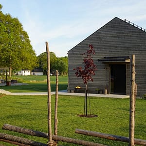 Robotring i corten i en mysig trädgård.