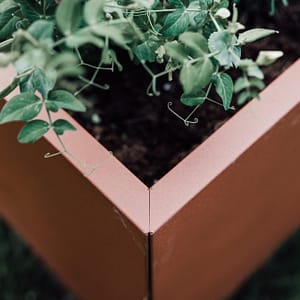 Detalj av ett hörn på Plant Box odlingslåda i cortenlack. Svensktillverkade blomlådor.