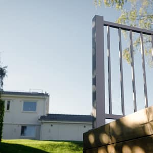 Herrestad silvergrå