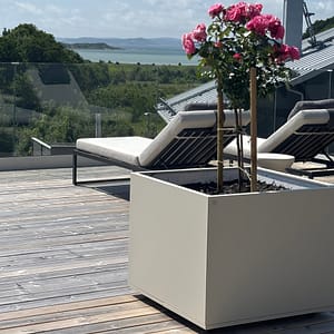 Stor isolerad kruka med rosplanering.