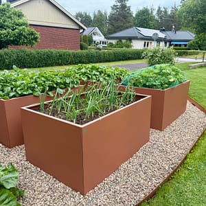 Odlingslåda i en stilren köksträdgård.