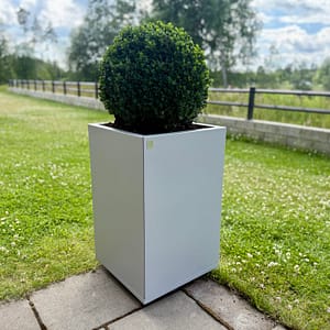 Hållbar kruka året runt som passar bra vid en entre. Underhållsfri stor kruka som inte rostar. Plant Box i silvergrått utförande.