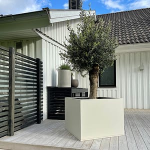 Plant Box Kub 80x80x60 cm