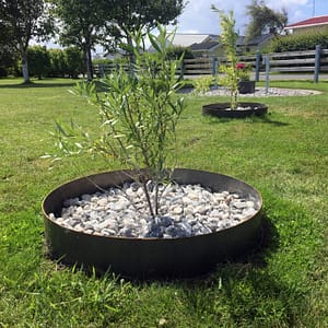 Trädring i corten ramar in buskar.