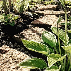 trampstenarhostatrajonmm