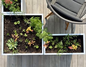 Variation av Plant Boxar. Kombinera olika blomlådor. Skapa rum på uteplatsen. Nytänkande och ideskapande.