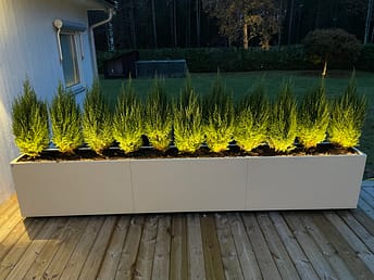 Belyst häckplanta i Plant Box i kulören Sand från Wernamo Design. LED-list som lyser uppåt. Svensktillverkad blomlåda.