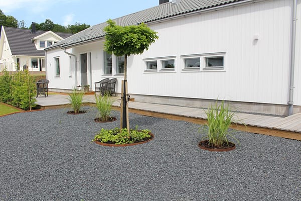 Låg trädring - Bild 4