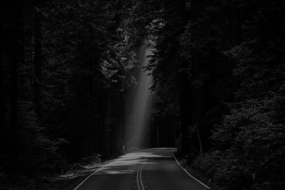 bilpunktenprivatleasing